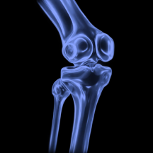 Ultrahuman Performance Lab - DEXA Scan
